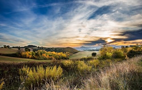 Puzzle für Erwachsene 100 Teile Brückenpuzzle für Erwachsene Anspruchsvolles Spiel, Feld 45,5x35,5CM Puzzle für Erwachsene 100 Teile Brückenpuzzle für Erwachsene Anspruchsvolles Spiel, Feld 45,5x35,5CM von CUREW