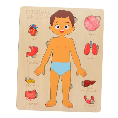 CVUTOVO Holzpuzzle Körper Organe Lernspielzeug Abnehmbares Modell für Jungen Mädchen zur Kognitiven und Frühkindlichen Bildung Edukatives Gehirntraining CVUTOVO Holzpuzzle Körper Organe Lernspielzeug Abnehmbares Modell für Jungen Mädchen zur Kognitiven und Frühkindlichen Bildung Edukatives Gehirntraining von CVUTOVO