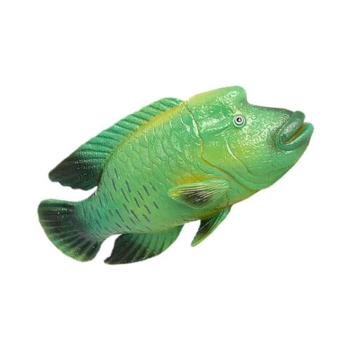 CVUTOVO Realistisches Humphead Wrasse Fischmodell Pädagogisches Aquarium Deko Kindgerechtes Simulation Meeresbewohner Ornament Robustes Kunststoffmodell für Lebensechte Farbgestaltung CVUTOVO Realistisches Humphead Wrasse Fischmodell Pädagogisches Aquarium Deko Kindgerechtes Simulation Meeresbewohner Ornament Robustes Kunststoffmodell für Lebensechte Farbgestaltung von CVUTOVO
