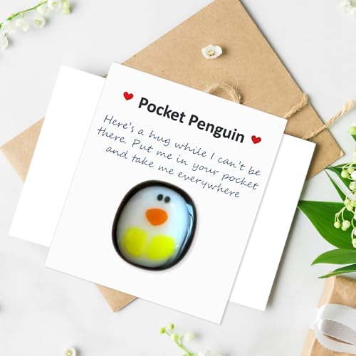 CXNXFD Mini Hug Pinguin Niedliches Glas Kleine Tasche Pinguin Umarmt Mich mit ermutigenden Worten Tier Special Souvenir Niedliches Pinguin Spielzeug Grußkarte von Geburtstag Hochzeit Party (2 Stück) von CXNXFD