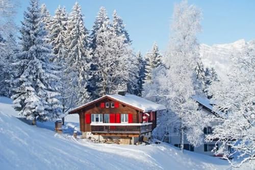 CYQFEZ Jigsaw Puzzle 1000 Stück Schnee Scenery Hut Poster Holz Buntes Fähigkeitsspiel Für Die Ganze Familie Erwachsene Kz399Wp von CYQFEZ