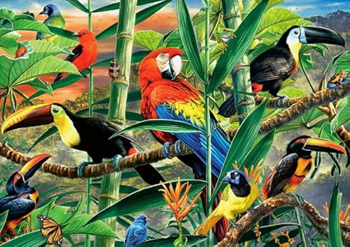 CYQFEZ Puzzle 1000 Stück Holz Tier Vogel Bunte Kunst Bilder Poster Bunte Fähigkeit Spiel Für Die Ganze Familie Erwachsene Pw214Xe von CYQFEZ