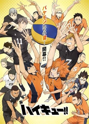 Puzzle 1000 Stück - Japanese Animes Haikyuu - Colour Jigsaw - Kinder's Educational Spielzeugs Puzzle Posters FX172PV von CYQFEZ