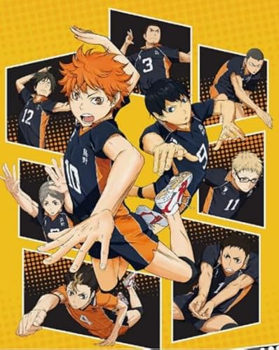 Puzzle 1000 Stück - Japanese Animes Haikyuu - Colour Jigsaw - Kinder's Educational Spielzeugs Puzzle Posters FX173PV von CYQFEZ