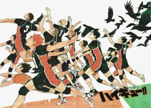 Puzzle 1000 Stück - Japanese Animes Haikyuu - Colour Jigsaw - Kinder's Educational Spielzeugs Puzzle Posters FX175PV von CYQFEZ