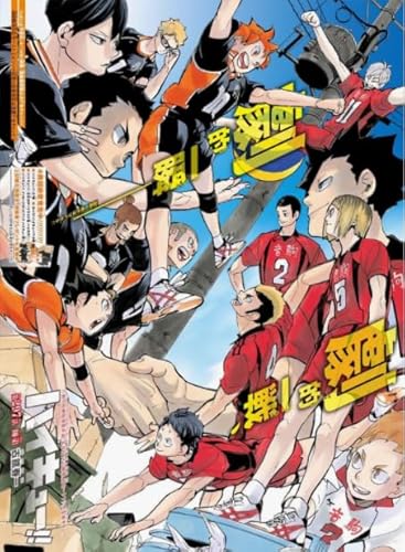 Puzzle 1000 Stück - Japanese Animes Haikyuu - Colour Jigsaw - Kinder's Educational Spielzeugs Puzzle Posters FX176PV von CYQFEZ