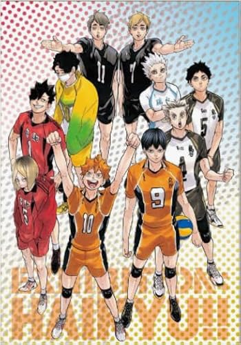 Puzzle 1000 Stück - Japanese Animes Haikyuu - Colour Jigsaw - Kinder's Educational Spielzeugs Puzzle Posters FX178PV von CYQFEZ