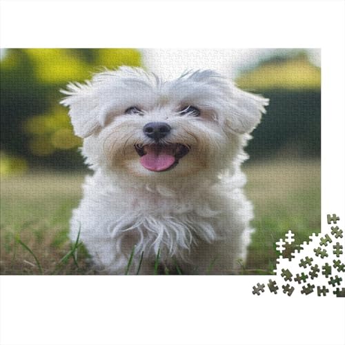 Maltese Hund Puzzlespiel 1000 Teile Puzzle Für Erwachsene Und Kinder Ab 14 Jahren, Puzzle Erwachsenen Puzzlespi Puzzel 1000pcs (75x50cm) von CZSDABERA