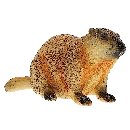 Cabilock Simulierte Wildtiere Murmeltier Ornamente Wildtierspielzeug Murmeltierfigur Spielzeug Murmeltiermodell Simulation Murmeltierfiguren Simulation Realistische Murmeltierfiguren Aus von Cabilock