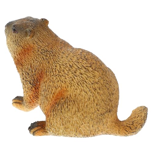 Cabilock Simulierte Wildtiere Murmeltier Tagesdekorationen Simulation Von Murmeltier Figuren Realistische Murmeltier Figur Murmeltier Ornamente Murmeltier Modell Wildtier Statue von Cabilock