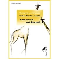 Reichel, M: Testflipping. Proben für die erste Klasse. von Cajus Verlag