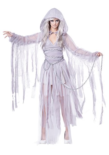 California Costumes 1327 Haunting Beauty Geist Spirit Ghost Kostüm für Erwachsene, Einfarbig, Silber, L von California Costumes