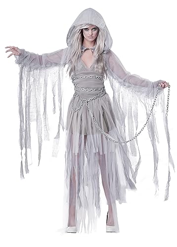 California Costumes Haunting Beauty Kostüm für Damen, silber, XS von California Costumes