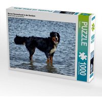 Berner Sennenhund in der Nordsee (Puzzle) von CALVENDO Verlag GmbH