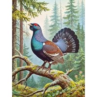 CALVENDO Puzzle Auerhahn - seltener Vogel als Gemälde 1000 Teile Lege-Größe 64x48cm Foto-Puzzle für glückliche Stunden CALVENDO Puzzle Auerhahn - seltener Vogel als Gemälde 1000 Teile Lege-Größe 64x48cm Foto-Puzzle für glückliche Stunden von Calvendo Puzzle