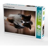 CALVENDO Puzzle Australian Shepherd Tri Color 2000 Teile Lege-Größe 90 × 67 cm Foto-Puzzle für glückliche Stunden CALVENDO Puzzle Australian Shepherd Tri Color 2000 Teile Lege-Größe 90 × 67 cm Foto-Puzzle für glückliche Stunden von Calvendo Puzzle