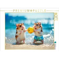 CALVENDO Puzzle Beachball Buddies 1000 Teile Lege-Größe 64x48cm Foto-Puzzle für glückliche Stunden CALVENDO Puzzle Beachball Buddies 1000 Teile Lege-Größe 64x48cm Foto-Puzzle für glückliche Stunden von Calvendo Puzzle