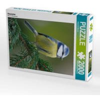 CALVENDO Puzzle Blaumeise 2000 Teile Lege-Größe 90x67cm Foto-Puzzle für glückliche Stunden CALVENDO Puzzle Blaumeise 2000 Teile Lege-Größe 90x67cm Foto-Puzzle für glückliche Stunden von Calvendo Puzzle