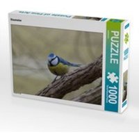 CALVENDO Puzzle Blaumeise 1000 Teile Lege-Größe 64 x 48 cm Foto-Puzzle Bild von kattobello von Calvendo