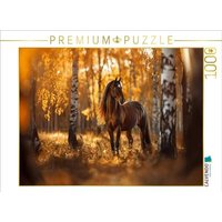 CALVENDO Puzzle Braunes Pferd im Herbstwald 1000 Teile Lege-Größe 64x48cm Foto-Puzzle für glückliche Stunden CALVENDO Puzzle Braunes Pferd im Herbstwald 1000 Teile Lege-Größe 64x48cm Foto-Puzzle für glückliche Stunden von Calvendo Puzzle