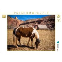 CALVENDO Puzzle Capitol Reef NP 500 Teile Lege-Größe 48 × 36 cm Foto-Puzzle für Erwachsene CALVENDO Puzzle Capitol Reef NP 500 Teile Lege-Größe 48 × 36 cm Foto-Puzzle für Erwachsene von Calvendo Puzzle
