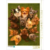 CALVENDO Puzzle Chihuahua Diamonds - Kleine Freunde mit großen Augen 1000 Teile Lege-Größe 64x48cm Foto-Puzzle für glückliche Stunden CALVENDO Puzzle Chihuahua Diamonds - Kleine Freunde mit großen Augen 1000 Teile Lege-Größe 64x48cm Foto-Puzzle für glückliche Stunden von Calvendo Puzzle