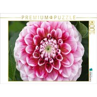 CALVENDO Puzzle Dahlienblüte | 1000 Teile Lege-Größe 64x48cm Foto-Puzzle für glückliche Stunden von Calvendo Puzzle