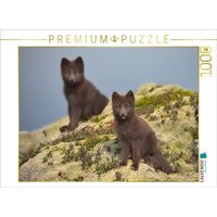 CALVENDO Puzzle Doppelgänger 1000 Teile Lege-Größe 64x48cm Foto-Puzzle für glückliche Stunden CALVENDO Puzzle Doppelgänger 1000 Teile Lege-Größe 64x48cm Foto-Puzzle für glückliche Stunden von Calvendo Puzzle