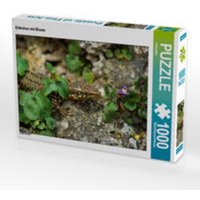 CALVENDO Puzzle Eidechse mit Blume 1000 Teile Lege-Größe 64 x 48 cm Foto-Puzzle Bild von Kattobello CALVENDO Puzzle Eidechse mit Blume 1000 Teile Lege-Größe 64 x 48 cm Foto-Puzzle Bild von Kattobello von Calvendo