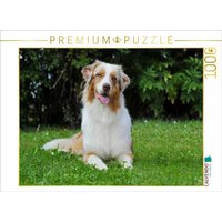 CALVENDO Puzzle Ein Motiv aus dem Kalender Bekannt wie ein bunter Hund. Australian Shepherd - Familienplaner hoch 1000 Teile Lege-Größe 64x48cm Foto CALVENDO Puzzle Ein Motiv aus dem Kalender Bekannt wie ein bunter Hund. Australian Shepherd - Familienplaner hoch 1000 Teile Lege-Größe 64x48cm Foto von Calvendo Puzzle