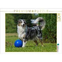 CALVENDO Puzzle Ein Motiv aus dem Kalender Bekannt wie ein bunter Hund. Australian Shepherd - Familienplaner hoch 1000 Teile Lege-Größe 64x48cm Foto CALVENDO Puzzle Ein Motiv aus dem Kalender Bekannt wie ein bunter Hund. Australian Shepherd - Familienplaner hoch 1000 Teile Lege-Größe 64x48cm Foto von Calvendo Puzzle