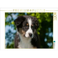 CALVENDO Puzzle Ein Motiv aus dem Kalender Bekannt wie ein bunter Hund. Australian Shepherd - Familienplaner hoch 1000 Teile Lege-Größe 64x48cm Foto CALVENDO Puzzle Ein Motiv aus dem Kalender Bekannt wie ein bunter Hund. Australian Shepherd - Familienplaner hoch 1000 Teile Lege-Größe 64x48cm Foto von Calvendo Puzzle