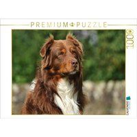 CALVENDO Puzzle Ein Motiv aus dem Kalender Bekannt wie ein bunter Hund. Australian Shepherd - Familienplaner hoch 1000 Teile Lege-Größe 64x48cm Foto CALVENDO Puzzle Ein Motiv aus dem Kalender Bekannt wie ein bunter Hund. Australian Shepherd - Familienplaner hoch 1000 Teile Lege-Größe 64x48cm Foto von Calvendo Puzzle