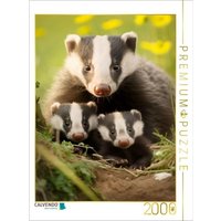 CALVENDO Puzzle Ein Motiv aus dem Kalender "Bezaubernde Dachse" 2000 Teile Lege-Größe 90x67cm Foto-Puzzle für glückliche Stunden CALVENDO Puzzle Ein Motiv aus dem Kalender "Bezaubernde Dachse" 2000 Teile Lege-Größe 90x67cm Foto-Puzzle für glückliche Stunden von Calvendo Puzzle