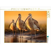 CALVENDO Puzzle Ein Motiv aus dem Kalender "Biotop zwischen Land und Meer" 1000 Teile Lege-Größe 64x48cm Foto-Puzzle für glückliche Stunden CALVENDO Puzzle Ein Motiv aus dem Kalender "Biotop zwischen Land und Meer" 1000 Teile Lege-Größe 64x48cm Foto-Puzzle für glückliche Stunden von Calvendo Puzzle
