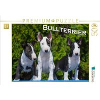 CALVENDO Puzzle Ein Motiv aus dem Kalender Bullterrier 500 Teile Lege-Größe 48 × 36 cm Foto-Puzzle für Erwachsene CALVENDO Puzzle Ein Motiv aus dem Kalender Bullterrier 500 Teile Lege-Größe 48 × 36 cm Foto-Puzzle für Erwachsene von Calvendo Puzzle
