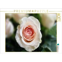 CALVENDO Puzzle Ein Motiv aus dem Kalender Erkenntnis und Weisheit - Hildegard von Bingen 1000 Teile Lege-Größe 64x48cm Foto-Puzzle für glückliche S CALVENDO Puzzle Ein Motiv aus dem Kalender Erkenntnis und Weisheit - Hildegard von Bingen 1000 Teile Lege-Größe 64x48cm Foto-Puzzle für glückliche S von Calvendo Puzzle