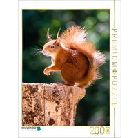 CALVENDO Puzzle Ein Motiv aus dem Kalender Hörnchen aus aller Welt 2000 Teile Lege-Größe 90x67cm Foto-Puzzle für glückliche Stunden CALVENDO Puzzle Ein Motiv aus dem Kalender Hörnchen aus aller Welt 2000 Teile Lege-Größe 90x67cm Foto-Puzzle für glückliche Stunden von Calvendo Puzzle