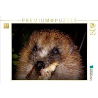 CALVENDO Puzzle Ein Motiv aus dem Kalender " Meine Igel" 500 Teile Lege-Größe 48 × 36 cm Foto-Puzzle für Erwachsene CALVENDO Puzzle Ein Motiv aus dem Kalender " Meine Igel" 500 Teile Lege-Größe 48 × 36 cm Foto-Puzzle für Erwachsene von Calvendo Puzzle