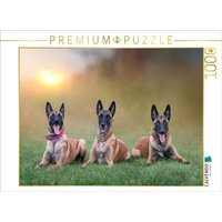 CALVENDO Puzzle Ein Motiv aus dem Kalender Traumhund Malinois 1000 Teile Lege-Größe 64x48cm Foto-Puzzle für glückliche Stunden CALVENDO Puzzle Ein Motiv aus dem Kalender Traumhund Malinois 1000 Teile Lege-Größe 64x48cm Foto-Puzzle für glückliche Stunden von Calvendo Puzzle