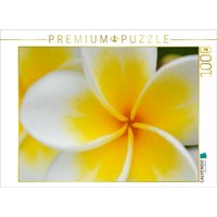 CALVENDO Puzzle Ein Motiv aus dem Kalender Tropischer Blütentraum 1000 Teile Lege-Größe 64 × 48 cm Foto-Puzzle für glückliche Stunden CALVENDO Puzzle Ein Motiv aus dem Kalender Tropischer Blütentraum 1000 Teile Lege-Größe 64 × 48 cm Foto-Puzzle für glückliche Stunden von Calvendo Puzzle
