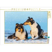 CALVENDO Puzzle Ein schönes Paar - Langhaar und Kurzhaar | 1000 Teile Lege-Größe 64x48cm Foto-Puzzle für glückliche Stunden von Calvendo Puzzle