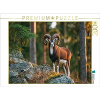 CALVENDO Puzzle Ein stolzes Mufflon steht auf einem Felsen im Wald und wird vom warmen Licht der Abendsonne beleuchtet, Tierpuzzle 2000 Teile Lege-Größe 90x67cm Foto-Puzzle für glückliche Stunden CALVENDO Puzzle Ein stolzes Mufflon steht auf einem Felsen im Wald und wird vom warmen Licht der Abendsonne beleuchtet, Tierpuzzle 2000 Teile Lege-Größe 90x67cm Foto-Puzzle für glückliche Stunden von Calvendo Puzzle