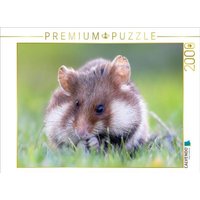 CALVENDO Puzzle Feldhamster | 2000 Teile Lege-Größe 90x67cm Foto-Puzzle für glückliche Stunden von Calvendo Puzzle