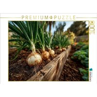 CALVENDO Puzzle Frische Zwiebeln wachsen im Gartenbeet 1000 Teile Lege-Größe 64x48cm Foto-Puzzle für glückliche Stunden CALVENDO Puzzle Frische Zwiebeln wachsen im Gartenbeet 1000 Teile Lege-Größe 64x48cm Foto-Puzzle für glückliche Stunden von Calvendo Puzzle