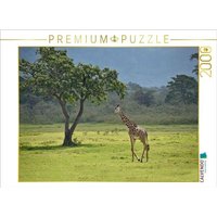 CALVENDO Puzzle Giraffe 2000 Teile Lege-Größe 90x67cm Foto-Puzzle für glückliche Stunden CALVENDO Puzzle Giraffe 2000 Teile Lege-Größe 90x67cm Foto-Puzzle für glückliche Stunden von Calvendo Puzzle