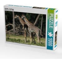 CALVENDO Puzzle Giraffen - Zwillinge 1000 Teile Lege-Größe 64 x 48 cm Foto-Puzzle Bild von Michael Herzog von Calvendo Puzzle