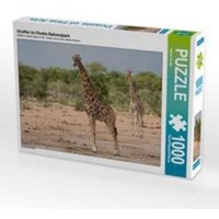 CALVENDO Puzzle Giraffen im Etosha Nationalpark 1000 Teile Lege-Größe 64 x 48 cm Foto-Puzzle Bild von Sabine Reuke von Calvendo Puzzle