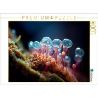 CALVENDO Puzzle Gläserne Pilze - Mikroorganismen | 1000 Teile Lege-Größe 64x48cm Foto-Puzzle für glückliche Stunden von Calvendo Puzzle