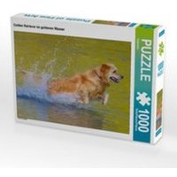 CALVENDO Puzzle Golden Retriever im goldenen Wasser 1000 Teile Lege-Größe 64 x 48 cm Foto-Puzzle Bild von Kattobello von Calvendo Puzzle